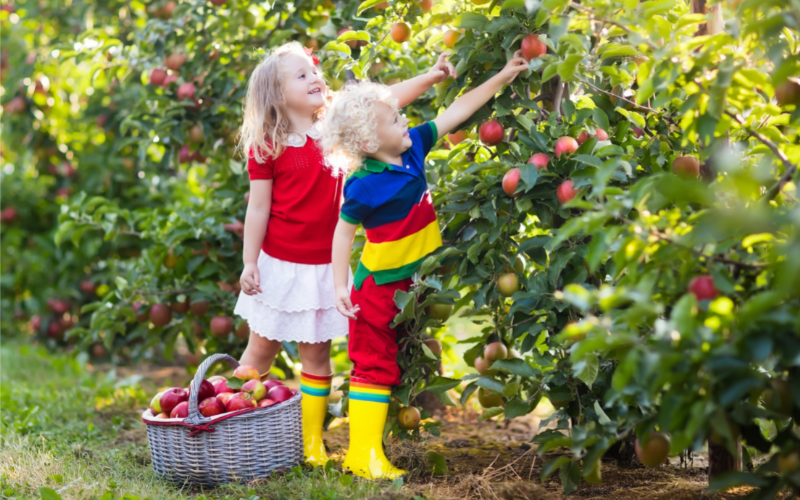 Hatékonyság a Greenman Agroval