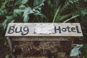 Rovar hotel