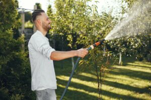Fű nyári gondozása, gyep öntözése kánikulában