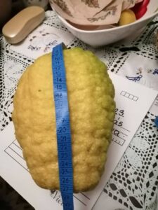 Citromfa gondozása Greenman Agroval