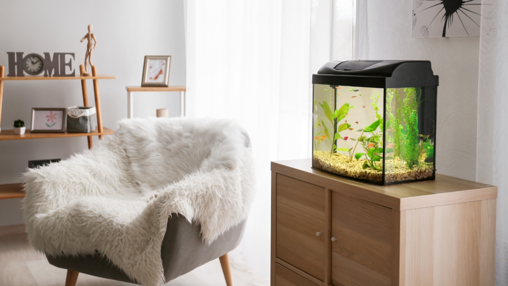 akvarium-halbetegseg-canva